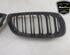 Radiator Grille BMW 3 Coupe (E92), BMW 3 Touring (E91)