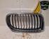 Radiator Grille BMW 3 Touring (E91)