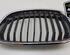 Radiator Grille BMW 1 (F21)