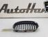 Radiator Grille BMW 1 (F21)