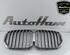 Radiateurgrille BMW X5 (G05, F95)