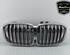 Radiator Grille BMW X5 (G05, F95)