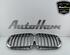 Radiator Grille BMW X5 (G05, F95)