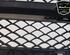 Radiator Grille MERCEDES-BENZ C-CLASS (W205), MERCEDES-BENZ C-CLASS (W204)