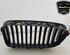 Radiator Grille BMW 5 (F10)