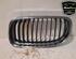 Radiator Grille BMW 3 Touring (E91)