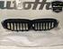 Radiator Grille BMW 3 (G20, G80)