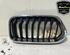 Radiator Grille BMW X2 (F39)