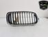 Radiator Grille BMW 3 (F30, F80)