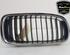 Radiator Grille BMW 3 (F30, F80)