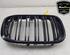 Radiateurgrille BMW X3 (G01, F97)