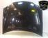 Motorhaube Mercedes-Benz C-Klasse T-Modell S203 A2038800157 P19445801