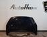 Motorhaube Peugeot 308  7901P6 P14185253