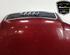 Motorhaube Audi A4 Avant 8E, B6 8E0823029 P19420031