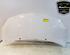 
Motorhaube Renault Twingo II CN0 7751477649 P20852354
