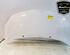 
Motorhaube Renault Twingo II CN0 7751477649 P20852354
