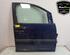 Door VW CADDY III Box Body/MPV (2KA, 2KH, 2CA, 2CH)