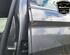 Door VW TIGUAN (AD1, AX1), VW TIGUAN ALLSPACE (BW2)