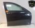 Deur BMW 5 (F10), BMW 5 Gran Turismo (F07), BMW 5 Touring (F11)