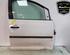 Door VW CADDY III Box Body/MPV (2KA, 2KH, 2CA, 2CH)