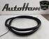 Door Seal AUDI A3 Sportback (8YA)