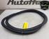 Door Seal AUDI A3 Sportback (8VA, 8VF), AUDI A6 Allroad (4GH, 4GJ, C7)