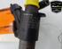 Injector Nozzle VOLVO V70 III (135), VOLVO XC70 II (136)