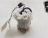 Fuel Pump KIA PICANTO (JA), KIA PICANTO (TA)