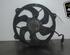 Radiator Electric Fan  Motor PEUGEOT 307 Break (3E), PEUGEOT 307 SW (3H), CITROËN C4 Coupe (LA_), CITROËN C4 I (LC_)