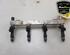 Petrol Fuel Rail OPEL CORSA B (S93), OPEL TIGRA TwinTop (X04), OPEL ADAM (M13), OPEL MERIVA B MPV (S10)