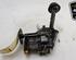 Oil Pump RENAULT MEGANE III Hatchback (BZ0/1_, B3_)