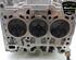 Cylinder Head SKODA FABIA III Estate (NJ5)