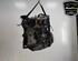 Bare Engine RENAULT CLIO III (BR0/1, CR0/1), RENAULT CLIO III Grandtour (KR0/1_)