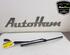 Wiper Arm MERCEDES-BENZ C-CLASS T-Model (S204)