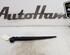 Wiper Arm RENAULT MEGANE III Hatchback (BZ0/1_, B3_)