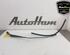 Wiper Arm RENAULT GRAND SCÉNIC III (JZ0/1_)