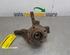 Stub Axle RENAULT Clio III (BR0/1, CR0/1)