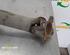 Cardan Shaft (drive Shaft) SSANGYONG KYRON