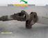 Cardan Shaft (drive Shaft) SSANGYONG KYRON