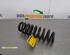 Coil Spring BMW 3 Touring (E91)