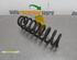 Coil Spring BMW 1 (E81), BMW 1 (E87), BMW 1 Coupe (E82)