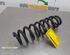 Coil Spring BMW 1 (E81), BMW 1 (E87), BMW 1 Coupe (E82)