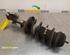 Suspension Strut FIAT Grande Punto (199), FIAT Punto (199), FIAT Punto Evo (199)