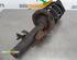 Suspension Strut FORD Focus III Turnier (--)