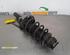 Suspension Strut SKODA FABIA II Combi (545), SKODA ROOMSTER Praktik (5J)