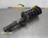 Suspension Strut SEAT Ibiza III (6L1)