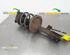 Suspension Strut KIA Cee'D Schrägheck (ED), KIA Cee'D SW (ED), KIA Pro Cee'D (ED)