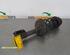 Suspension Strut RENAULT TWINGO II (CN0_)