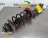 Suspension Strut DACIA DUSTER (HS_), DACIA LODGY (JS_)