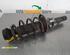 Suspension Strut SKODA FABIA II (542)